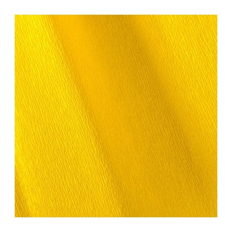 Canson Jaune citron 15 200002409