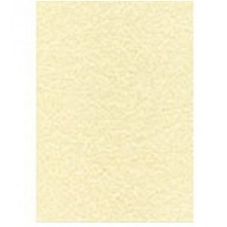 DECAdry T105001 100fogli carta da disegno
