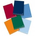 Pigna Monocromo quaderno per scrivere 42 fogli Multicolore A4 02217795M