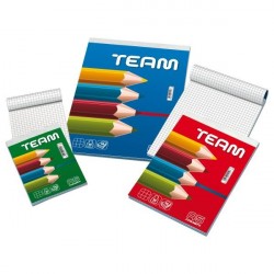 Blasetti Team A4 50fogli Multicolore quaderno per scrivere 1006S