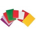 Pigna Monocromo quaderno per scrivere 42 fogli Multicolore A5 02217787