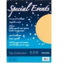 Favini Special Events cartone 250 gm 10 fogli A690174