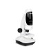Hamlet Microscopio ottico e digitale usb XMICROU400