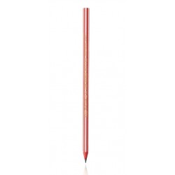 BIC CF12 MATITE 646