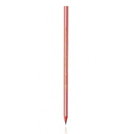 BIC CF12 MATITE 646