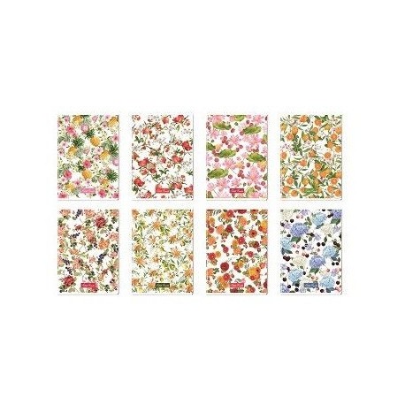 Blasetti CF10 PETITS FRUITS 80GR 1R HARD TOP
