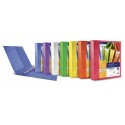 SEI Rota Myto TI raccoglitore ad anelli A4 Viola 36913041S