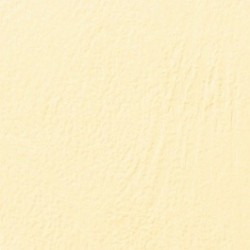 GBC Copertine rilegatura LeatherGrain 250 gsm A4 avorio 100 CE040065