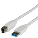 Nilox 1.8m USB3.0 cavo USB 1,8 m USB 3.2 Gen 1 3.1 Gen 1 USB A USB B Bianco CRO11998870
