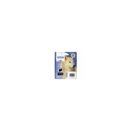 Epson Husky Cartuccia Nero chiaro C13T09674020