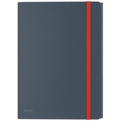 Leitz COSY CARTELLA A 3 LEMBI GRIGIO