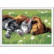 Ravensburger CREART SERIE E CANE E GATTO SONNO