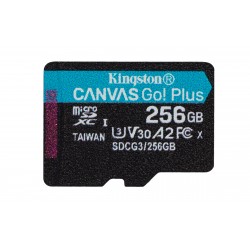 Kingston Technology Canvas Go Plus 256 GB MicroSD UHS I Classe 10 SDCG3256GBSP