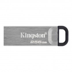 Kingston Technology DataTraveler Kyson unit flash USB 256 GB USB tipo A 3.2 Gen 1 3.1 Gen 1 Argento DTKN256GB