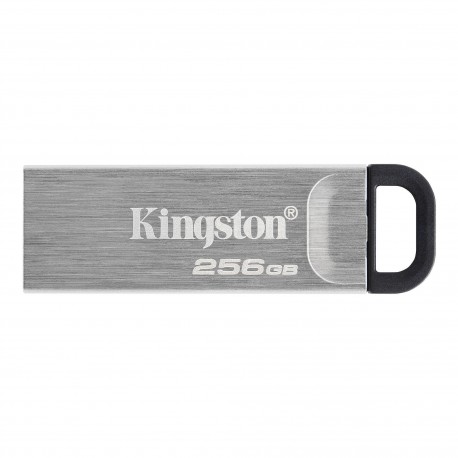 Kingston Technology DataTraveler Kyson unit flash USB 256 GB USB tipo A 3.2 Gen 1 3.1 Gen 1 Argento DTKN256GB