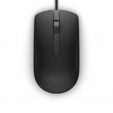 DELL MS116 mouse Ambidestro USB tipo A Ottico 1000 DPI 570 AAIR