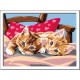 Ravensburger CREART SERIE D GATTINI CUSCINO