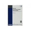 Epson Proofing Paper White Semimatte, in rotoli da 43, 18 cm x 30, 48 m 17 x 100. C13S042003