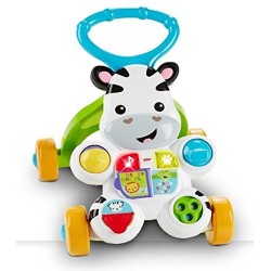 Fisher Price Zebra Primi Passi DLD91