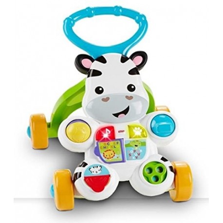 Fisher Price Zebra Primi Passi DLD91