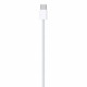 Apple USB C CHARGE CABLE 1M