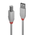 Lindy 36683 cavo USB 2 m USB 2.0 USB A USB B Grigio LI-36683