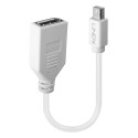 Lindy 41021 cavo DisplayPort 0,15 m Mini DisplayPort Bianco 41021-LND