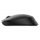 Philips SPK7407B00 mouse Ambidestro RF senza fili Bluetooth Ottico 1600 DPI