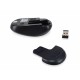 Conceptronic 245113 mouse Ambidestro RF Wireless Ottico