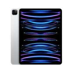 Apple iPad 12.9 Pro Wi