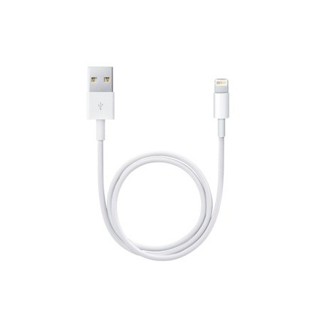 Apple Cavo da Lightning a USB 0.5 m ME291ZMA