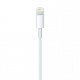 Apple Cavo da Lightning a USB 0.5 m ME291ZMA