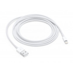 Apple Cavo da Lightning a USB 2 m MD819ZMA