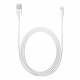 Apple Cavo da Lightning a USB 2 m MD819ZMA