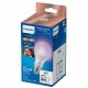 Philips LED Lampadina Smart Dimmerabile Luce Bianca o Colorata Attacco E27 100W Goccia 929002449721