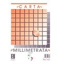 Carta Milllimetrata